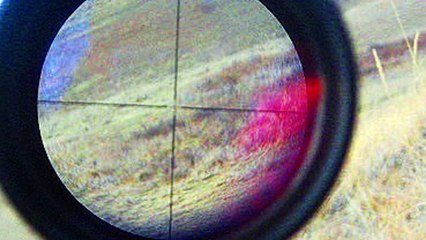 Top 10 Dark Web Secrets