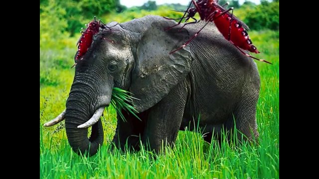 Мультик про комара. Что такое комары. Рассказ для детей. Познавательный мультфильм