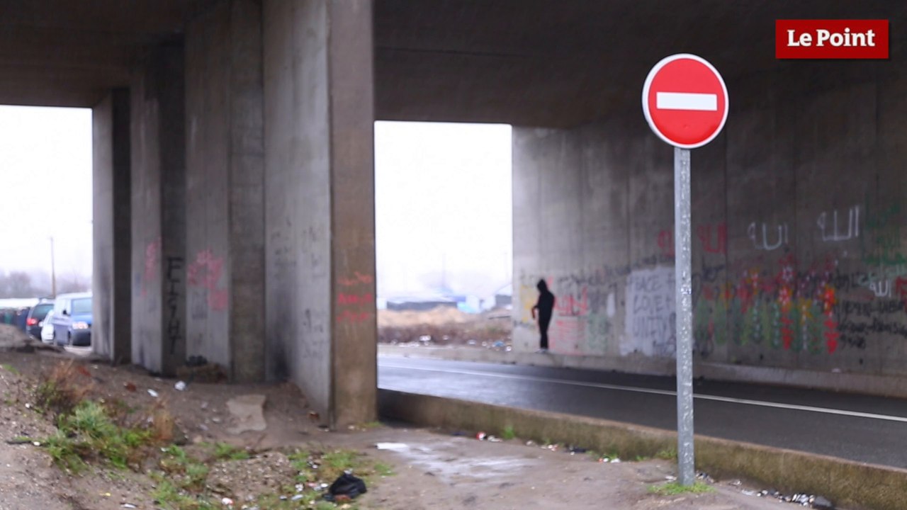 Calais : Quelles solutions pour enrayer la crise migratoire ?