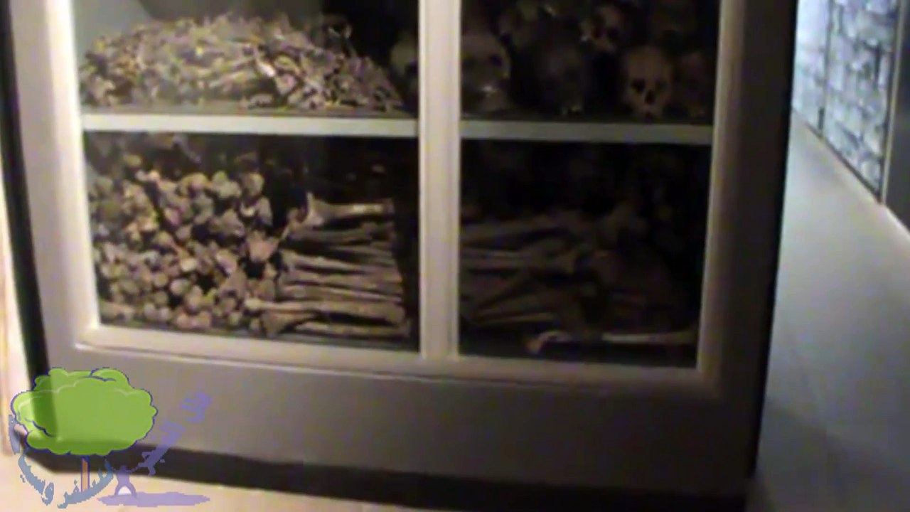 المتحف الوطني الإثيوبي National Museum of Ethiopia