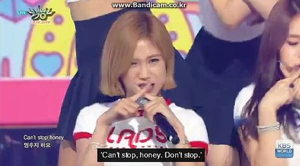 토토 제작 / 토토 사이트 제작 / 사설토토 / 토토 솔루션 카톡: haricuty스카이프:haricuty