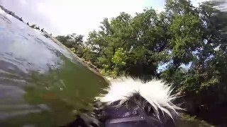 How to use GoPro Fetch Dog Harness in water