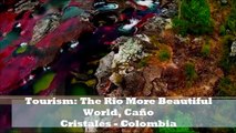 Tourism: The Rio More Beautiful World, Caño Cristales - Colombia