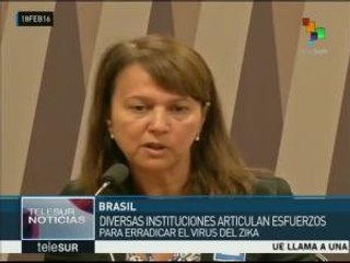 Científicos de Brasil y EE.UU. unen esfuerzos contra el virus del zika