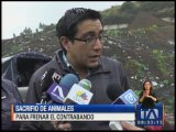 Sacrifican animales para frenar el contrabando