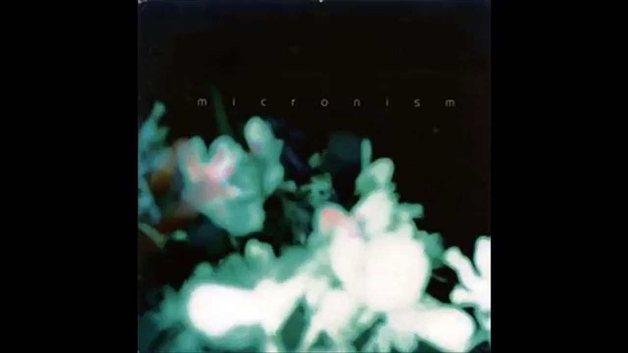 micronism - contemplating the quiet mind