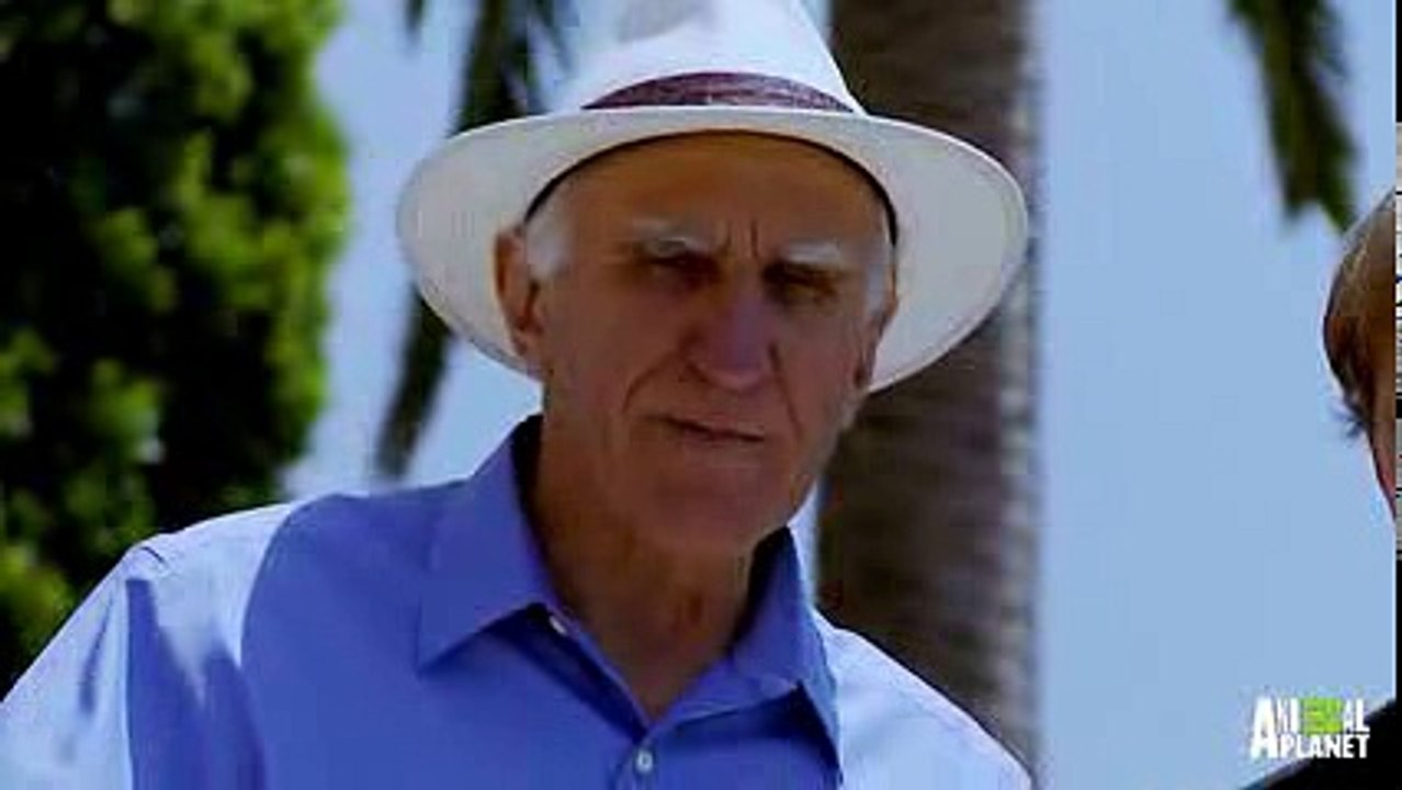 ---A Million Dollar Aquatic Masterpiece - The Pool Master