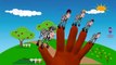Finger Family Rhymes Zebra Cartoons for Children | Finger Family Children Nursery Rhymes for Kids 3D
