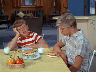 Flipper S01E13 Lady And The Dolphin Part 2