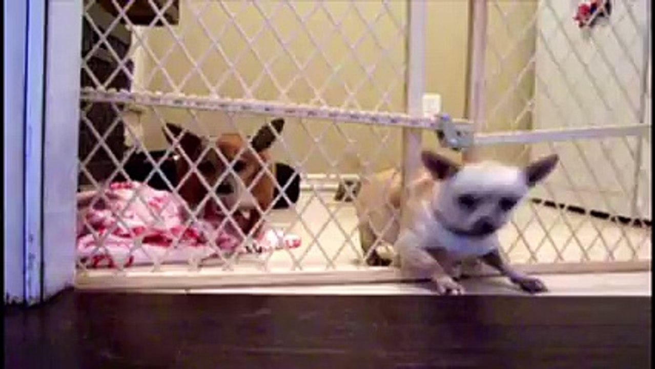 Great Escapes Video!!