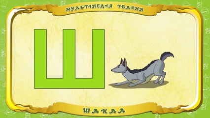 Мультіпедія тварин. Літера Ш Шакал