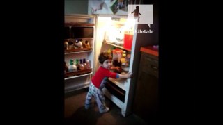 Toddler opens the fridge and tries to climb inside - Cute - toddletale