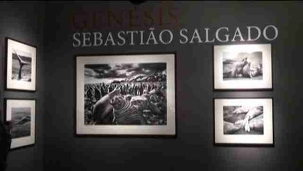 Una mirada a la trayectoria de Sebastiao Salgado en Moscú
