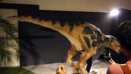 Dinosaur prank Tyrannosaurus Rex