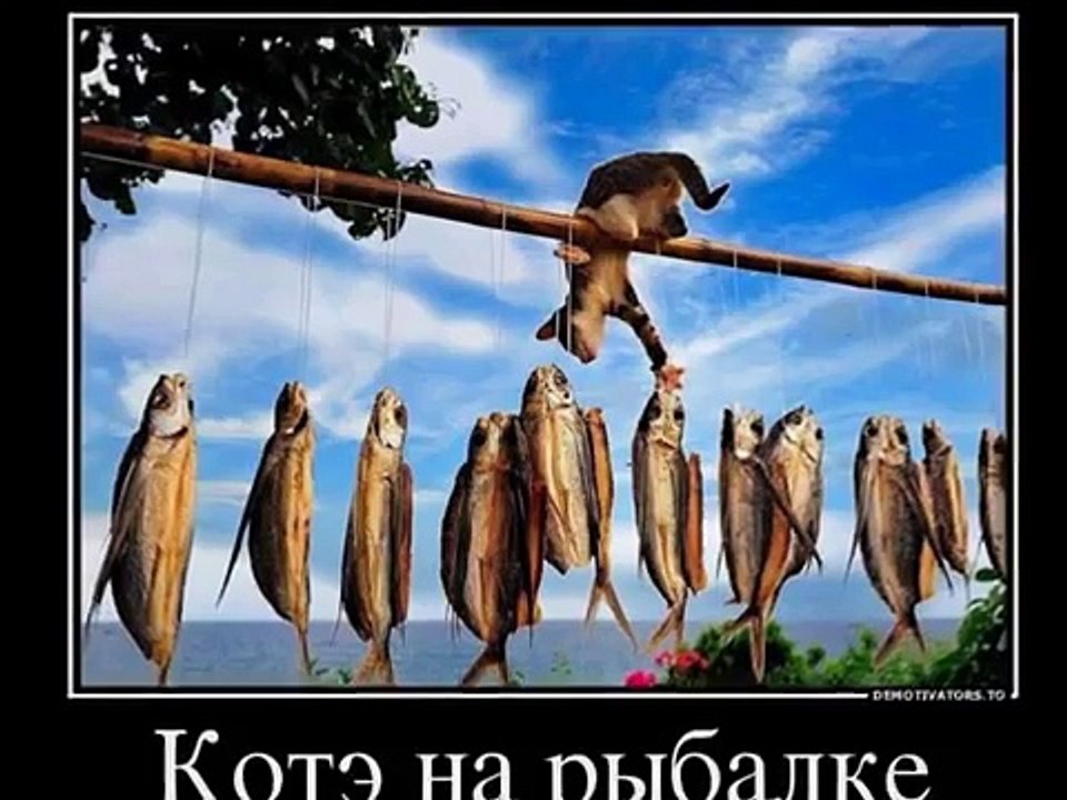 Приколы о рыбалке №1