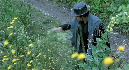 Séraphine subtitulos español hd