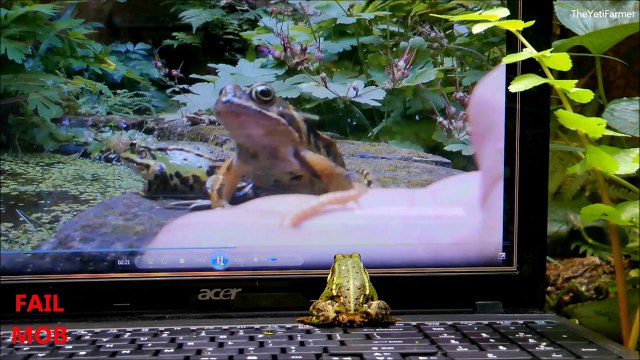 Epic Animals Playing on iPads Compilation