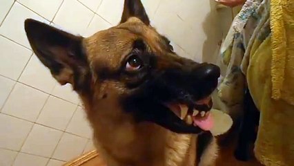 перемена настроения))