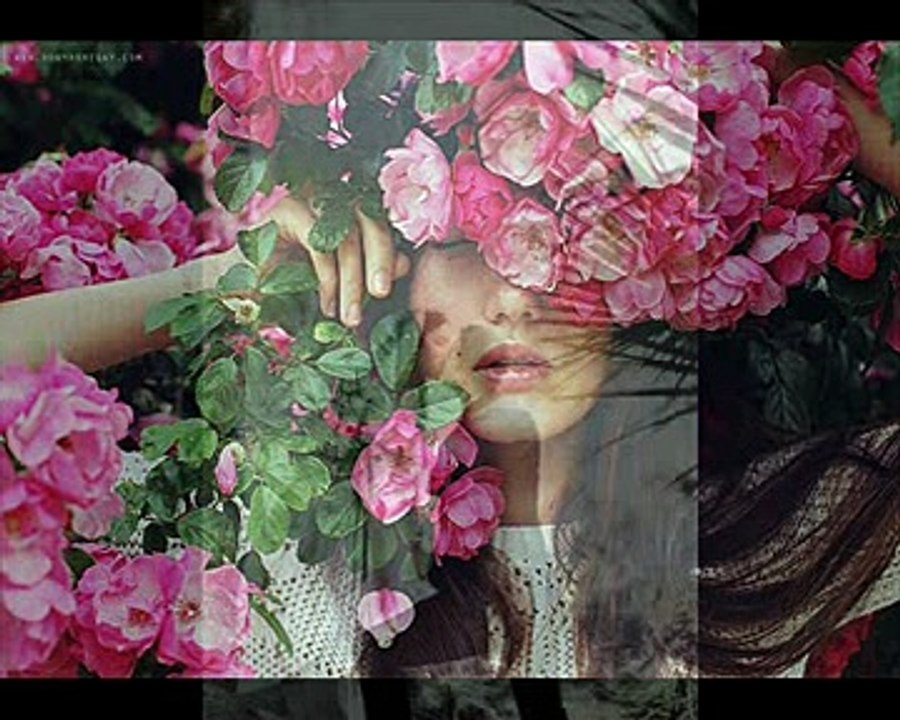 il faut toujours un perdant interpretation personnelle