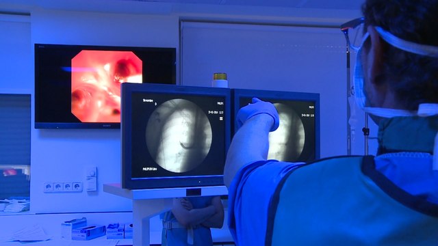 Reunión de los principales expertos en enfisema pulmonar