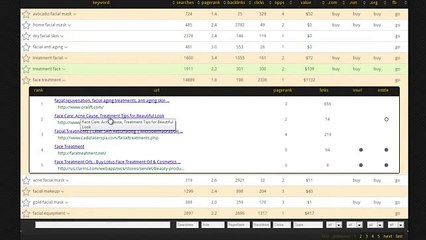 Niche Reaper Video - A Review Video