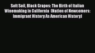 PDF Soft Soil Black Grapes: The Birth of Italian Winemaking in California  (Nation of Newcomers: