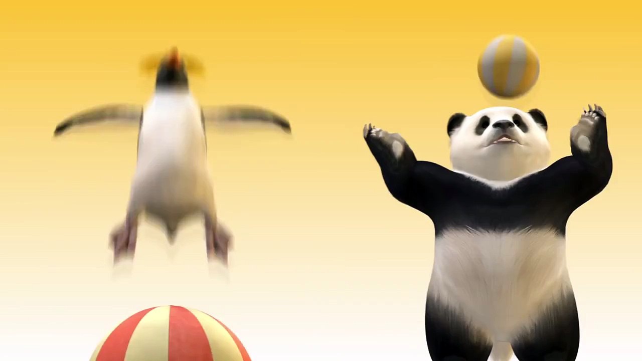 Cat workout video: Fit feline powers through sit-ups before collapsing from exhaustion - TomoNews