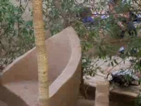 Oasis Desert de Merzouga Maroc