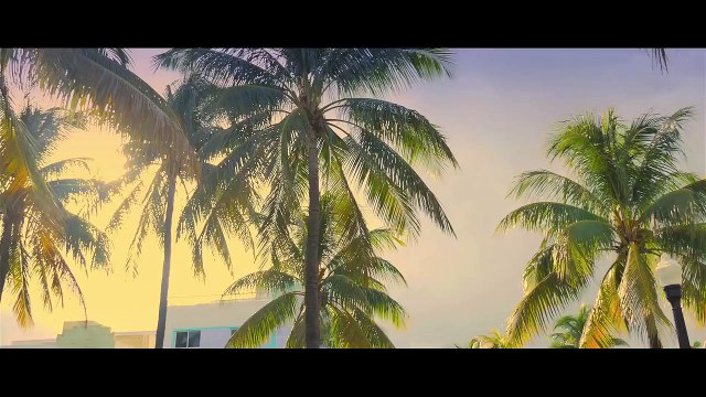 DJ KAYZ FEAT GRADUR - COLLER SERRER