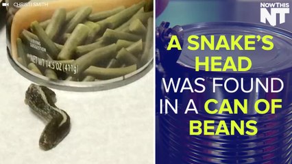 A Snake Head Was Found In A Can Of Beans