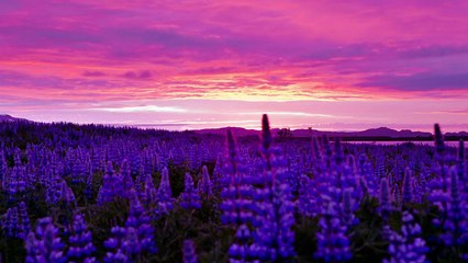 Midnight Sun Iceland - Time Lapse