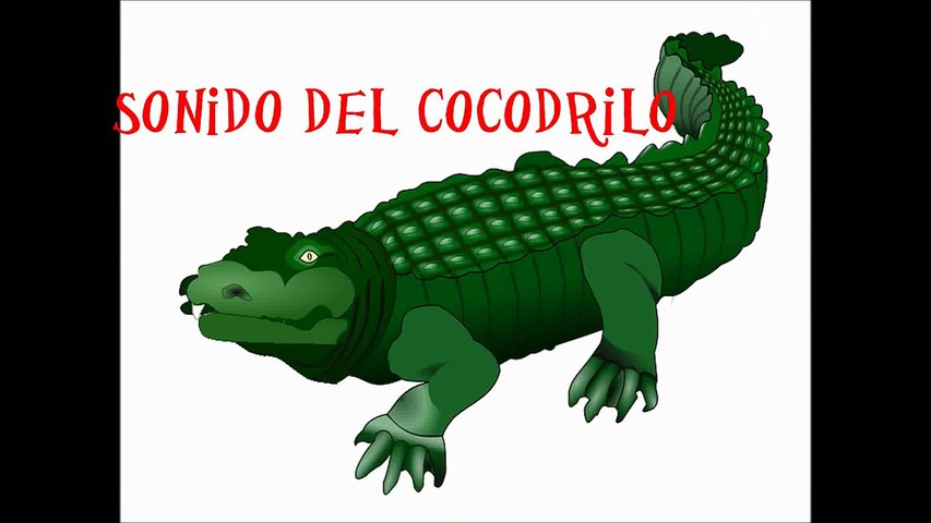 Sonido del cocodrilo Para niños(ANIMADO) – Видео Dailymotion