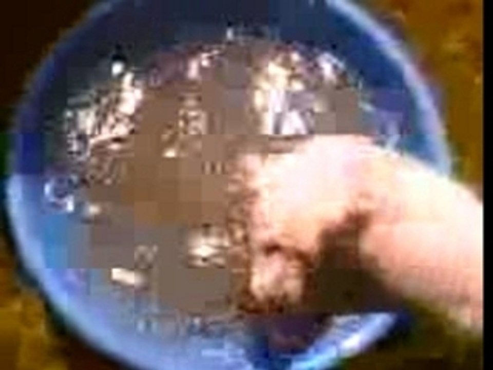 Orsi ve bejco