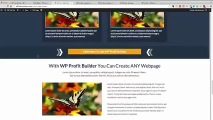 Profit Builder Demo / Sean Donahoe Profit Builder