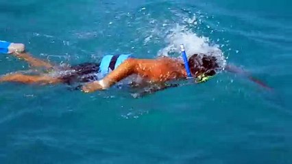 Diving looking for sharks in  Ocho Rios beach  Jamaica  2015