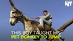 This Boy Taught His Pet Donkey To Do Amazing Tricks