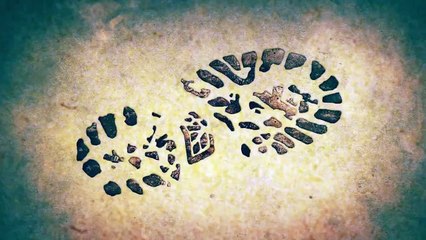 Millipede vs Centipede!