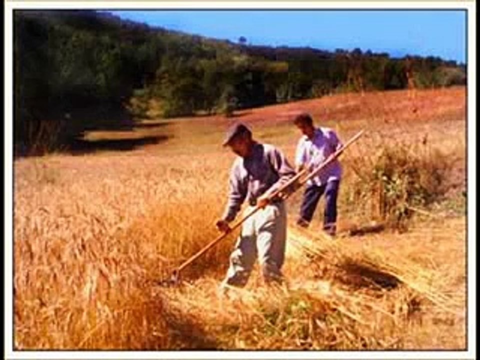 Aşık Kul Nuri - Nasıl unuturum Gümüşhaneyi