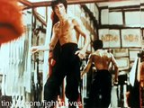 Bruce Lee - Tribute Video - Jeet Kune Do - The Legend