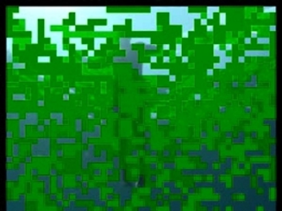 Enzo Maiorca, l’homme poisson