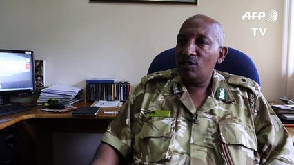 Kenya: deux lionnes dans la nature à Nairobi