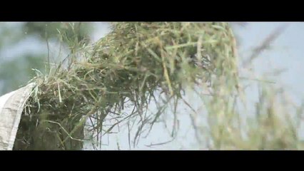 Bumper Fest Pager Deso 2015