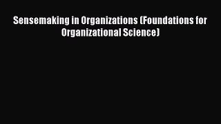 Download Sensemaking in Organizations (Foundations for Organizational Science)  Read Online