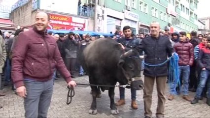 Boğacılar Derneği Üyeleri Madencilik Faaliyetini Protesto Etti