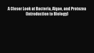 Download A Closer Look at Bacteria Algae and Protozoa (Introduction to Biology) Ebook Free