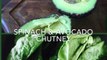 Spinach & avocado chutney/ dip : very healthy yummy recipe with raw ingredients