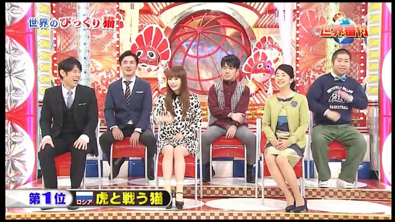 ネプ＆イモトの世界番付　世界の激かわネコSP (2月19日)