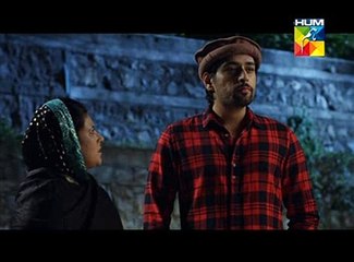 Gul e Rana Most Emotional Scene HUM TV