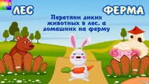 Развивающий мультик для детей Дикие и домашние животные