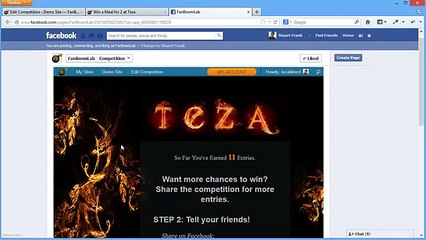 How to run a Great Competition on your Facebook Page using FanBoom - Part 4